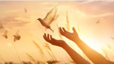 Santo: Sastra Mingguan. Gambar tentang dua tangan yang melepaskan burung merapti di waktu senjah. Gambar ini menunjukan sebuah kesan kekaguman
